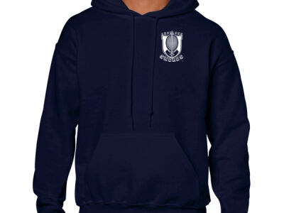 Logo Hoodie - Gildan Heavy Blend Adult Hooded Sweatshirt Thumbnail